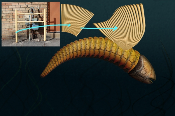 Creation of Flying Fish: Step 3
